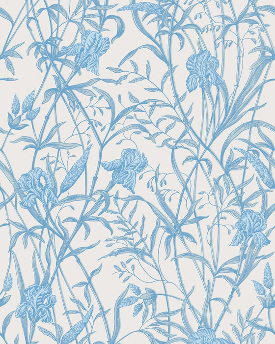 Cole & Son Iris Soft Cerulean Wallpaper 128/5026.CS.0