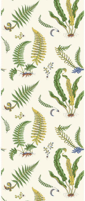 GP & J Baker Ferns Emerald Wallpaper BW45122.1.0