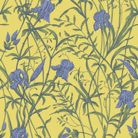 Cole & Son Iris Violet On Citrine Wallpaper 128/5027.CS.0