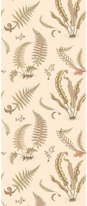 GP & J Baker Ferns Parchment Wallpaper BW45122.2.0