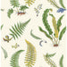 GP & J Baker Ferns Emerald Wallpaper Sample BW45122.1.0
