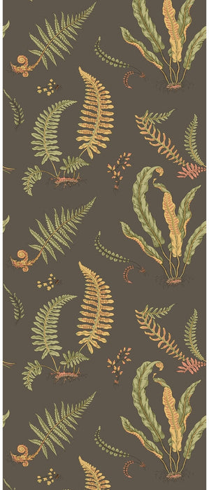 GP & J Baker Ferns Charcoal Wallpaper Sample BW45122.5.0