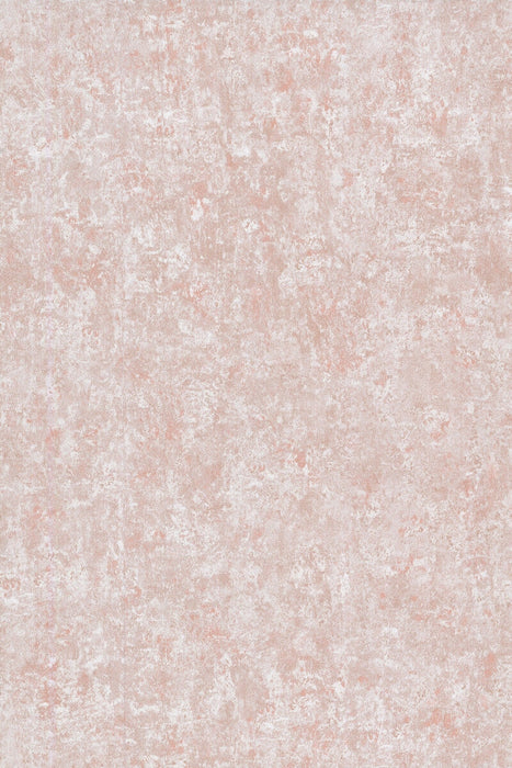 Cole & Son Salvage Plaster Wallpaper Sample 92/11050.CS.0