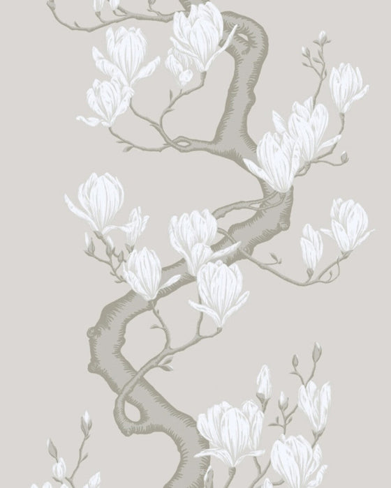 Cole & Son Magnolia Tree Non Slub Wallpaper 128/1008S.CS.0