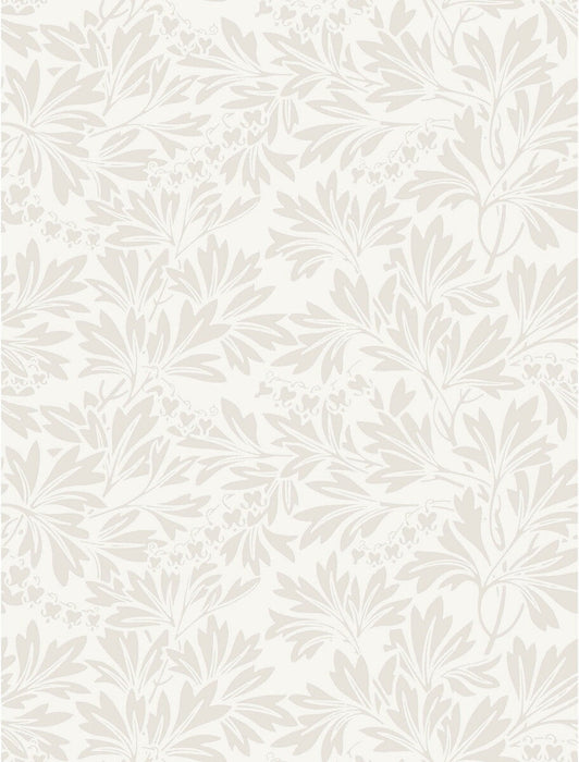 Cole & Son Dialytra Ecru Wallpaper Sample 88/11045.CS.0