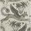 Clarke & Clarke Lynx Gilver Wallpaper Sample W0118/02.CAC.0