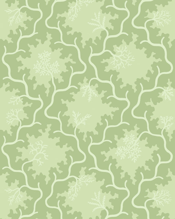 Cole & Son Moss Trellis Matcha Wallpaper 128/4022.CS.0