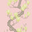 Cole & Son Magnolia Tree Rose Pink Wallpaper 128/1005.CS.0