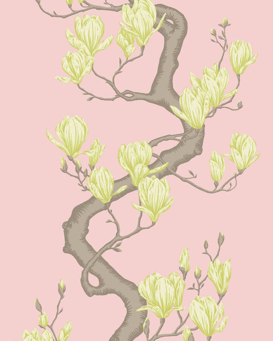 Cole & Son Magnolia Tree Rose Pink Wallpaper 128/1005.CS.0