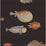 Cole & Son Acquario Black & Multi Wallpaper Sample 97/10048.CS.0
