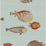 Cole & Son Acquario Print Room Blue Wallpaper Sample 97/10030.CS.0