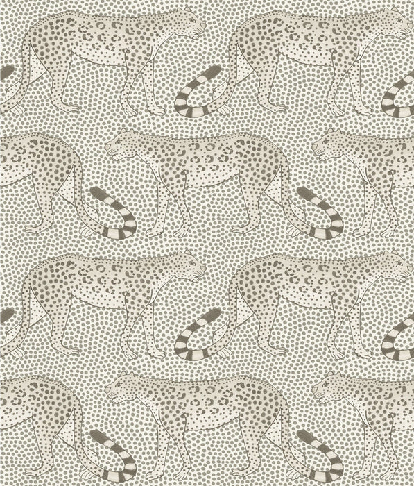Cole & Son Leopard Walk Black & White Wallpaper Sample 109/2011.CS.0
