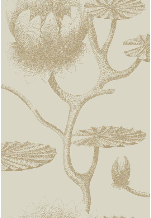 Cole & Son Lily Linen/Gold Wallpaper Sample 95/4019.CS.0