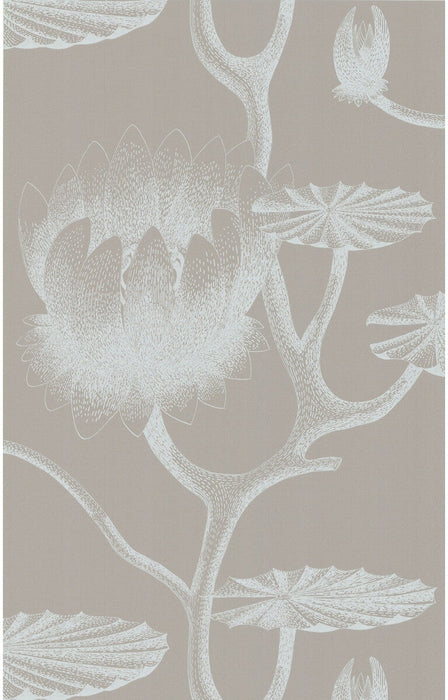 Cole & Son Lily White/Grey Wallpaper Sample 69/3110.CS.0