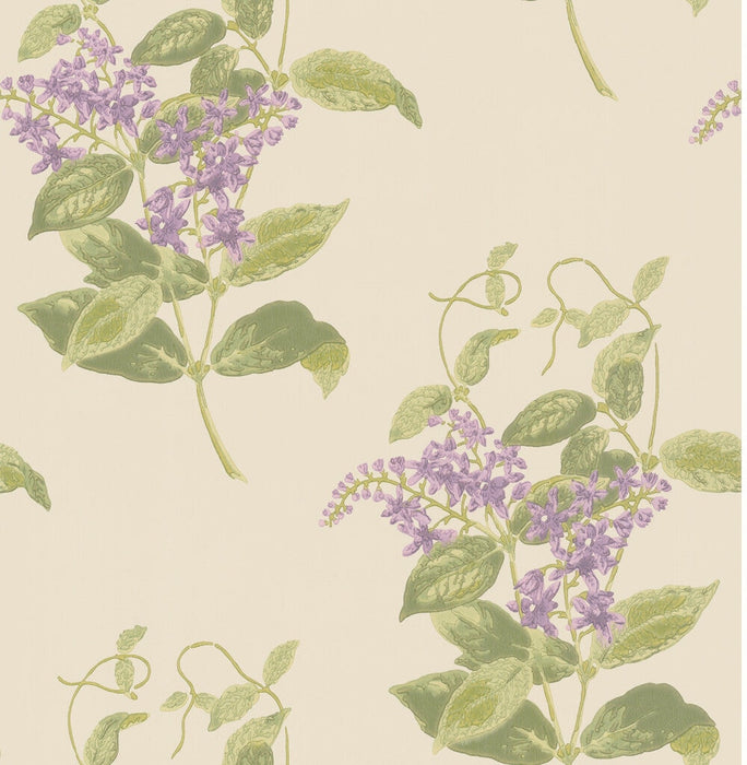 Cole & Son Madras Violet Olive & Lavender Wallpaper Sample 100/12056.CS.0