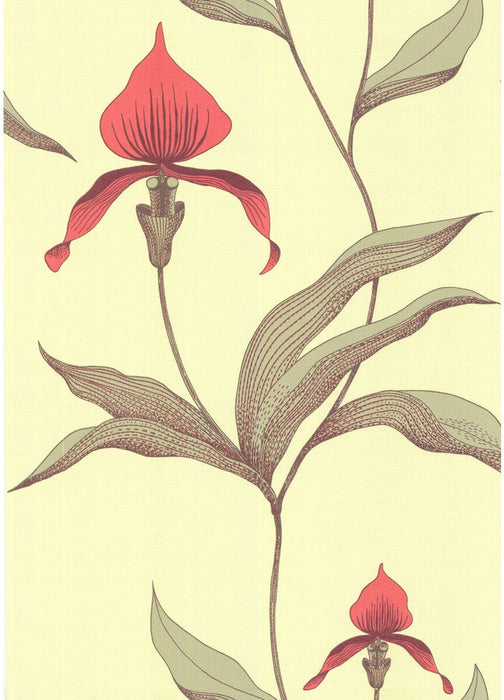 Cole & Son Orchid Lime/Or Wallpaper Sample 66/4033.CS.0