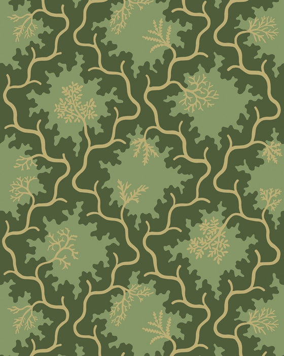 Cole & Son Moss Trellis Evergreen Wallpaper 128/4021.CS.0