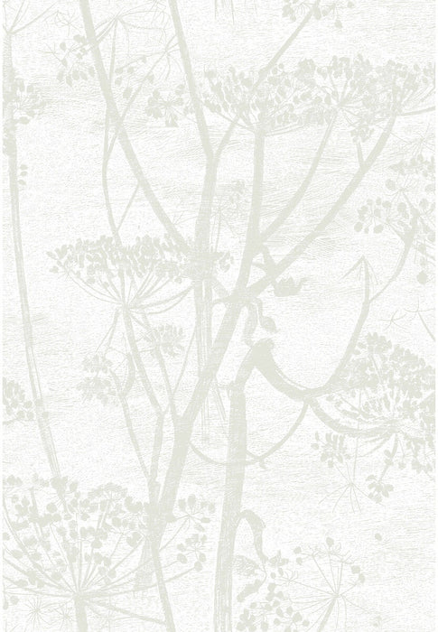 Cole & Son Cow Parsley White Wallpaper Sample 95/9052.CS.0