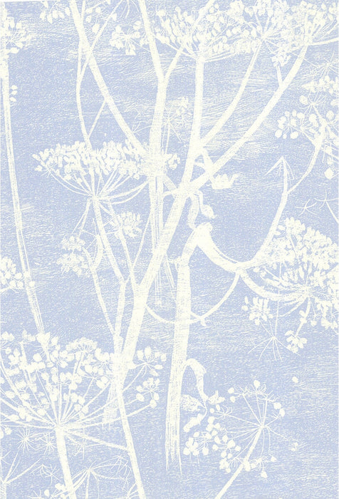 Cole & Son Cow Parsley White/Blu Wallpaper Sample 66/7050.CS.0