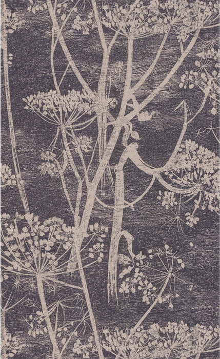 Cole & Son Cow Parsley Taupe/B Wallpaper Sample 66/7048.CS.0