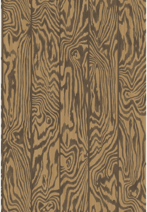 Cole & Son Zebrawood Tiger Wallpaper Sample 107/1002.CS.0