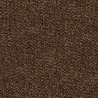 Kravet Smart Palmata Bark Fabric Sample 29151.6.0