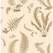 GP & J Baker Ferns Parchment Wallpaper Sample BW45122.2.0