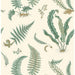 GP & J Baker Ferns Verdigris Wallpaper Sample BW45122.4.0