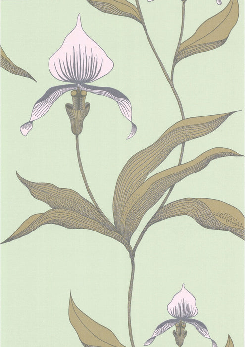 Cole & Son Orchid Pale Gr Wallpaper Sample 66/4028.CS.0