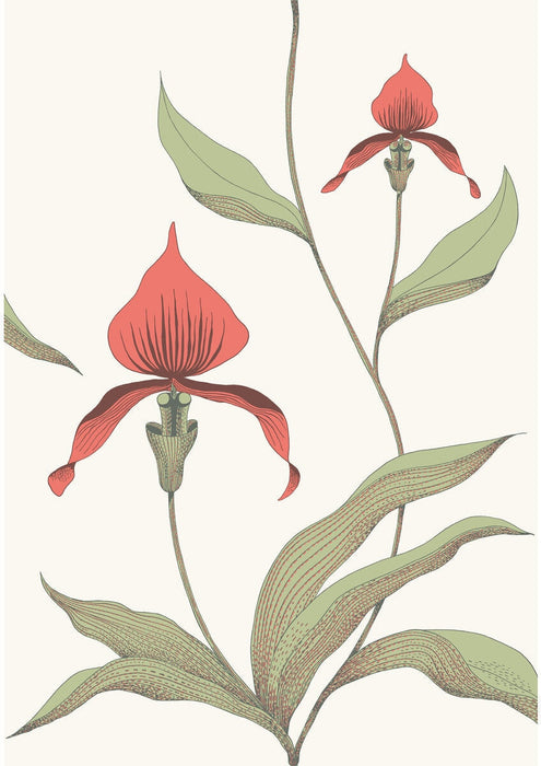 Cole & Son Orchid Red/White Wallpaper Sample 95/10054.CS.0