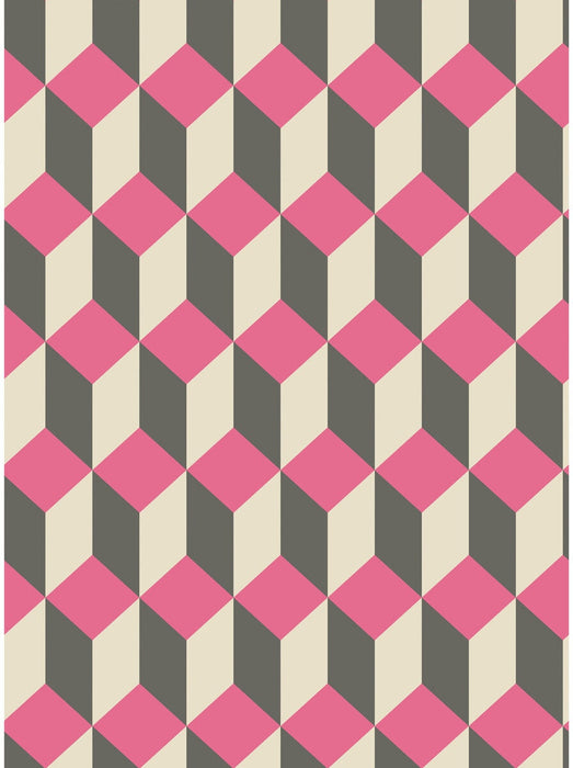 Cole & Son Delano Pink And Black Wallpaper Sample 105/7033.CS.0