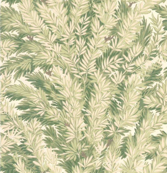 Cole & Son Florencecourt Olive Wallpaper Sample 100/1003.CS.0