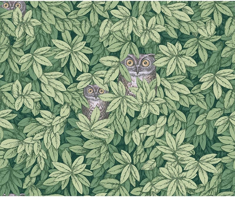 Cole & Son Foglie E Civette Green Wallpaper Sample 123/11054.CS.0