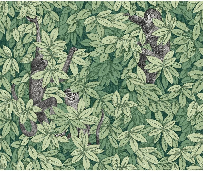 Cole & Son Foglie E Scimmie Green Wallpaper Sample 123/10049.CS.0