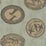 Cole & Son Matrinah Old Olive Wallpaper Sample 109/4021.CS.0