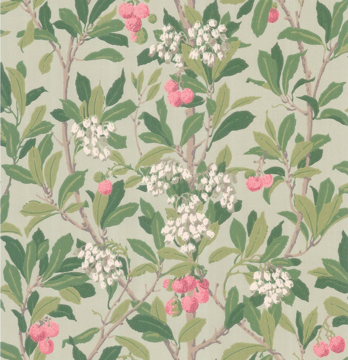 Cole & Son Strawberry Tree Pink & Duck Egg Wallpaper Sample 100/10048.CS.0