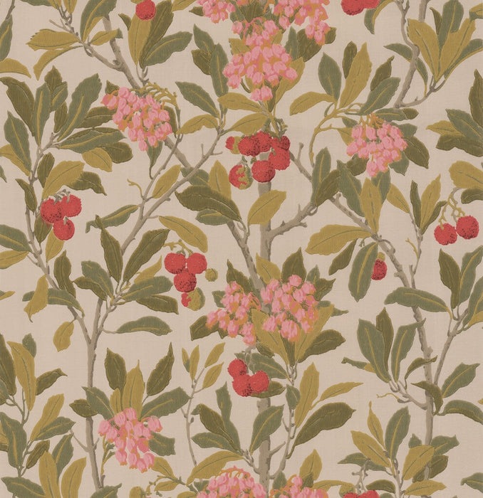 Cole & Son Strawberry Tree Pink & Linen Wallpaper Sample 100/10047.CS.0