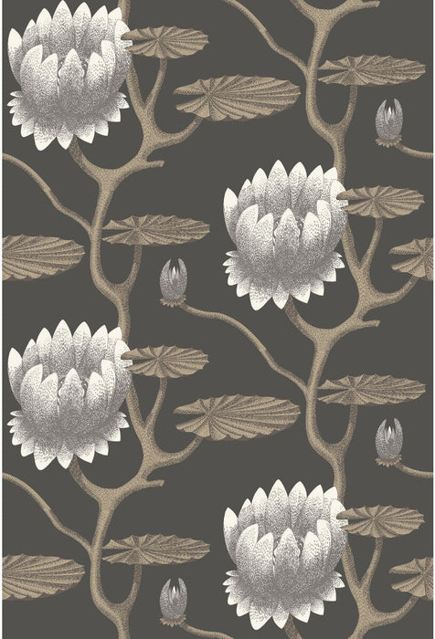 Cole & Son Summer Lily Blk/Wht/Gold Wallpaper Sample 95/4026.CS.0