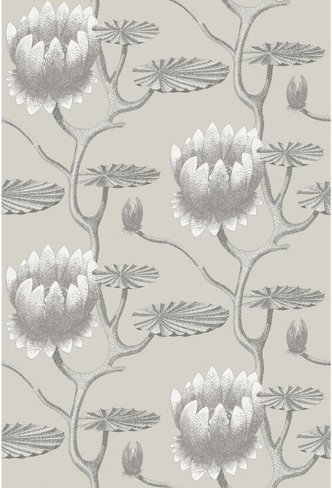 Cole & Son Summer Lily Taupe/White Wallpaper Sample 95/4025.CS.0