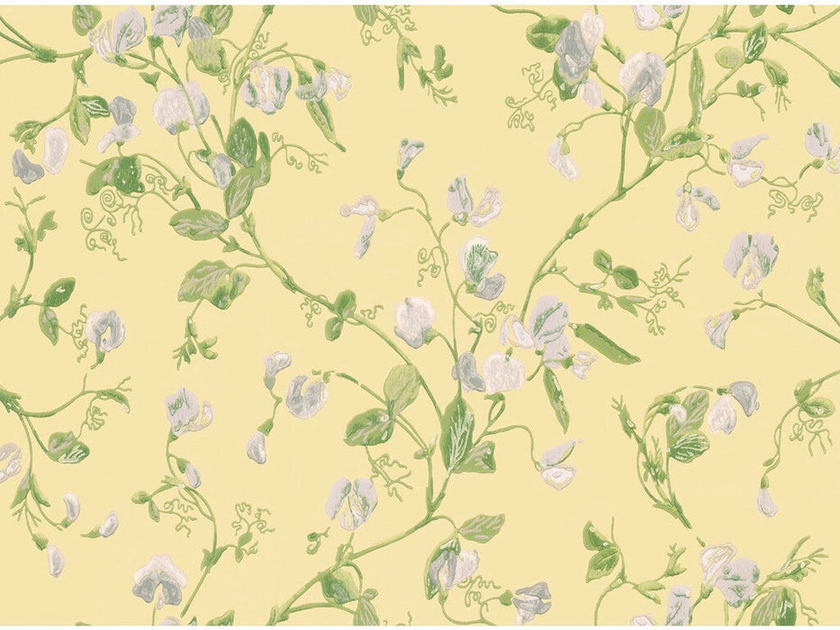 Cole & Son Sweet Pea Yellow Wallpaper Sample 100/6029.CS.0