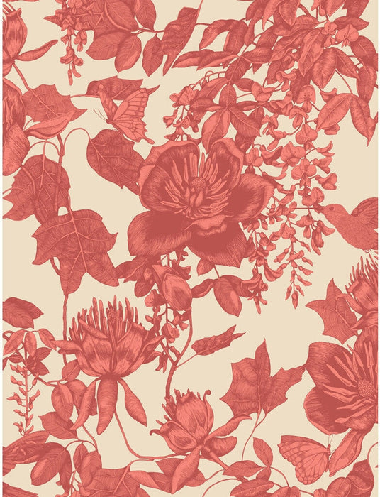 Cole & Son Tivoli Coral Wallpaper Sample 99/7033.CS.0
