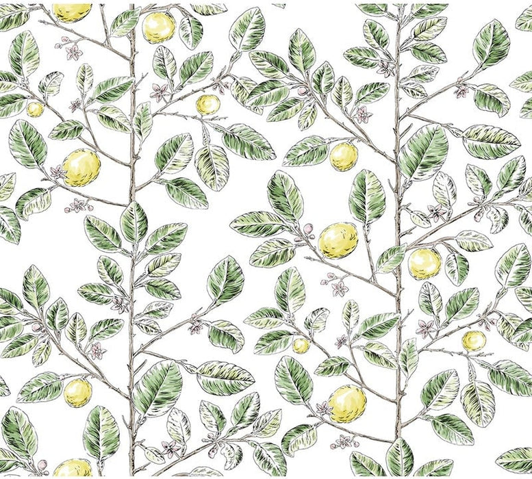 Kravet Design W4241 340 Wallpaper Sample W4241.340.0