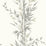 Cole & Son Bamboo Charcoal Wallpaper Sample 100/5025.CS.0