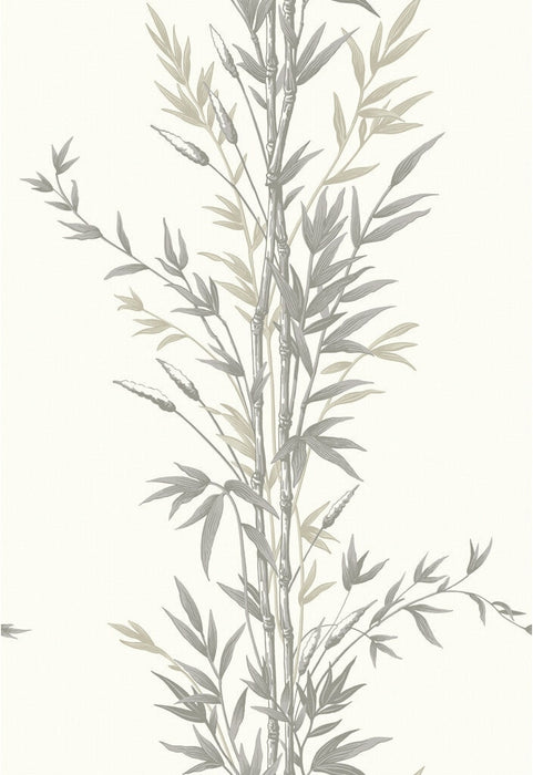 Cole & Son Bamboo Charcoal Wallpaper Sample 100/5025.CS.0