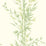 Cole & Son Bamboo Green Wallpaper Sample 100/5023.CS.0
