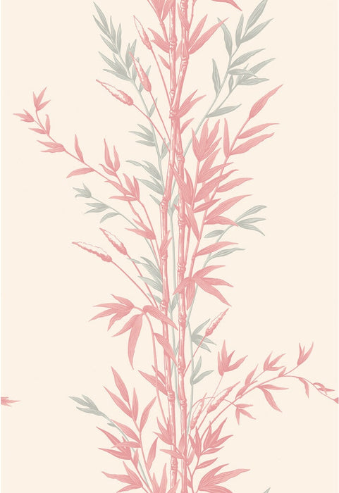 Cole & Son Bamboo Pink Wallpaper Sample 100/5024.CS.0