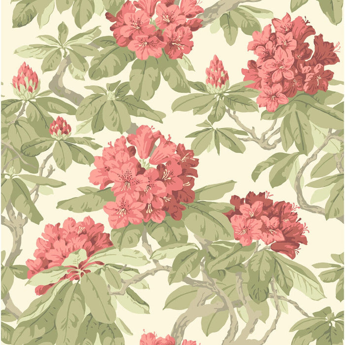 Cole & Son Bourlie Coral Wallpaper Sample 99/4020.CS.0