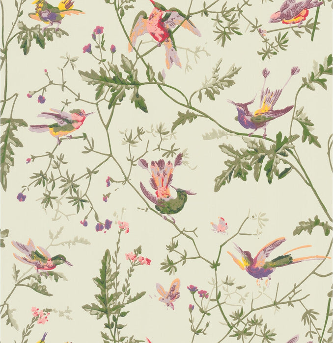 Cole & Son Hummingbirds Green Multi-Colour Wallpaper Sample 100/14070.CS.0