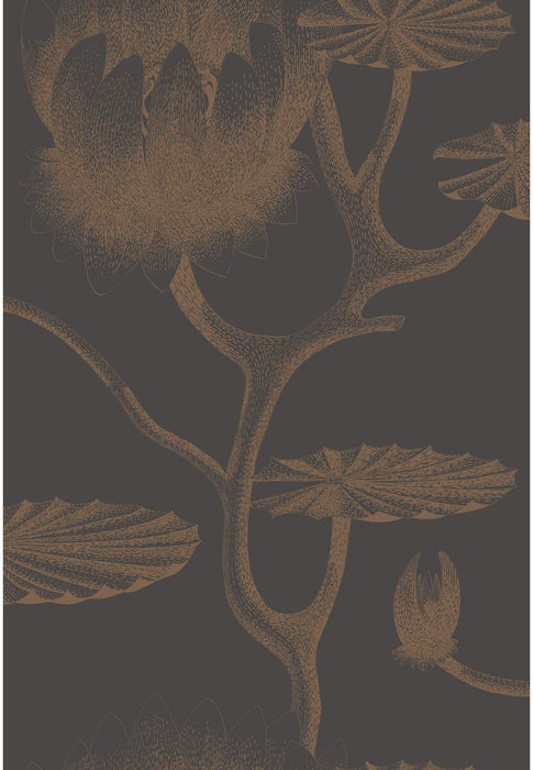 Cole & Son Lily Black/Bronze Wallpaper Sample 95/4021.CS.0