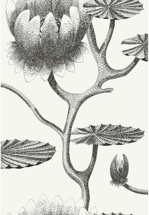 Cole & Son Lily Black/White Wallpaper Sample 95/4020.CS.0